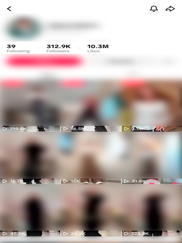 TikTok Res 4